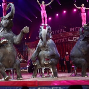 La princesse Stéphanie de Monaco, accompagnée par le prince Albert II de Monaco et son fils Louis Ducruet avec sa fiancée Marie Chevalier, assistait le 17 janvier 2019 à la soirée d'ouverture du 43e Festival international du cirque de Monte-Carlo, sous le chapiteau de Fontvieille. © Jean-Charles Vinaj/Pool Monaco/Bestimage