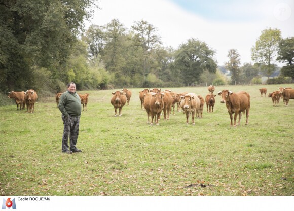 Yves, 56 ans, éleveur de vaches et de brebis, Limousin - Candidat de "L'amour est dans le pré 2019".