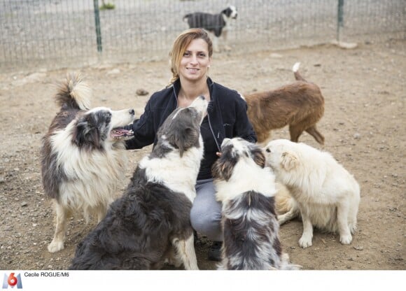 Sandrine, 34 ans, éleveuse de chiens, Bouches-du-Rhône - Candidat de "L'amour est dans le pré 2019".