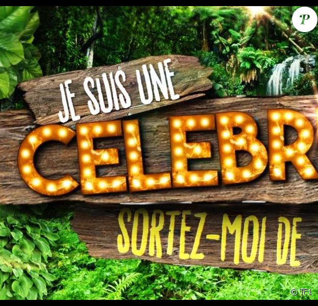Le logo de "Je suis une célébrité, sortez-moi de là !" en 2016 sur TF1.