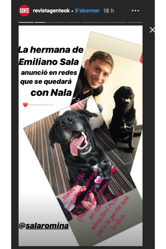 Emiliano Sala et sa chienne Nala, qui sera recueillie par sa famille suite à sa disparition, photo de la story Instagram de Romina Sala.