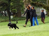 La famille Obama est arrivée à Paris... Michelle et ses deux fillettes à la Tour Eiffel !