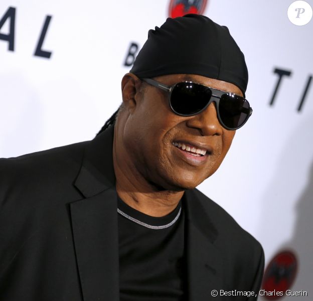 Stevie Wonder En Plein Concert Il Annonce Devoir Subir Une Greffe Purepeople