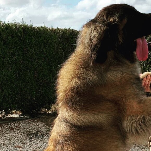 Faustine Bollaert sur Instagram.