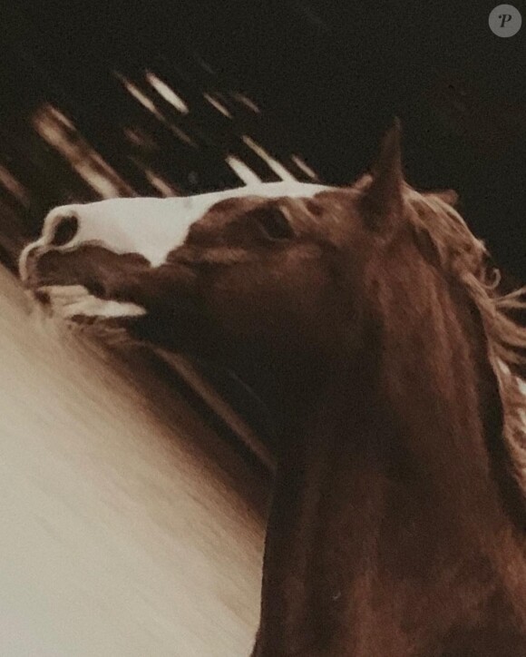 Shannen Doherty sur Instagram.