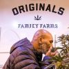 Mike Tyson s'est lancé dans la production de cannabis et a créé la ferme Tyson Ranch. Juin 2019.