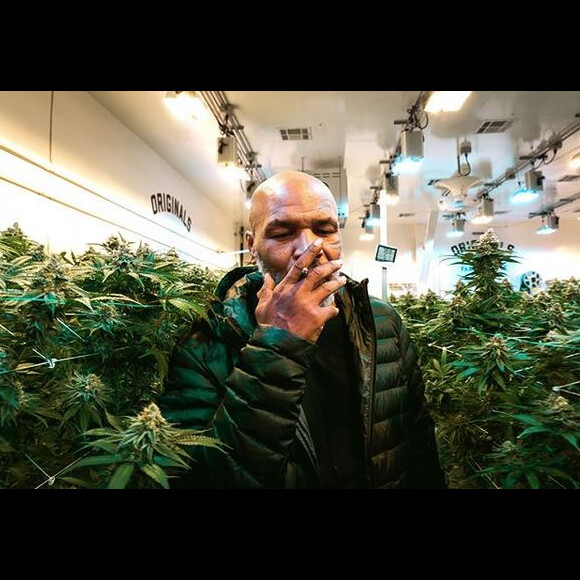 Mike Tyson s'est lancé dans la production de cannabis et a créé la ferme Tyson Ranch. Juillet 2019.