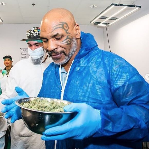 Mike Tyson s'est lancé dans la production de cannabis et a créé la ferme Tyson Ranch. Juin 2019.
