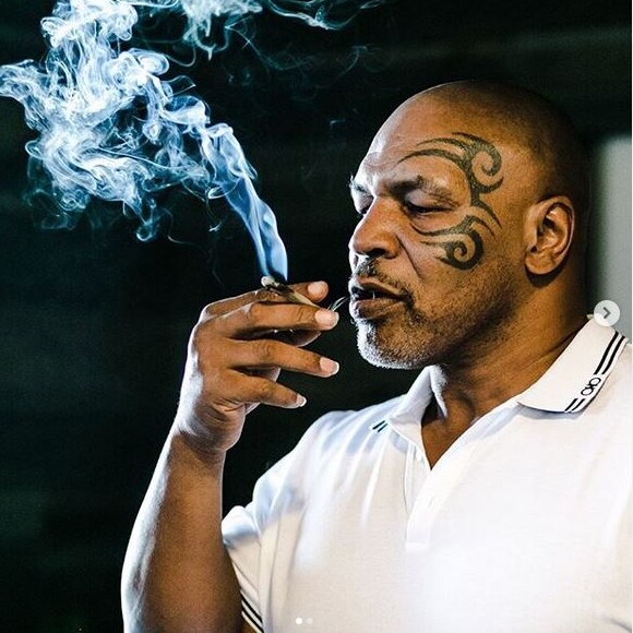 Mike Tyson s'est lancé dans la production de cannabis et a créé la ferme Tyson Ranch. Juin 2019.