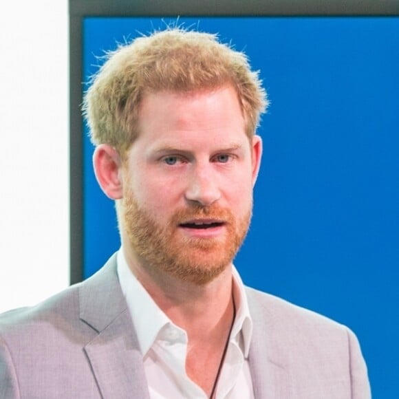 Le prince Harry, duc de Sussex, présentait le 3 septembre 2019 à Amsterdam aux Pays-Bas Travalyst, un partenariat entre des opérateurs digitaux du monde du tourisme pour développer des pratiques durables, respectueuses de l'environnement et profitables aux communautés locales.