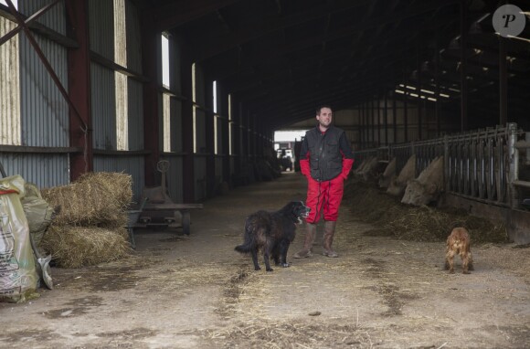 François, 34 ans, éleveur de vaches, Pays de la Loire  - Candidat de "L'amour est dans le pré 2019".