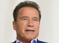 Arnold Schwarzenegger, Miranda Kerr : Les stars touchées par l'incendie de L.A.