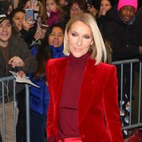 Céline Dion : Look copié sur Gigi Hadid ou gorge dénudée... défilé à New York