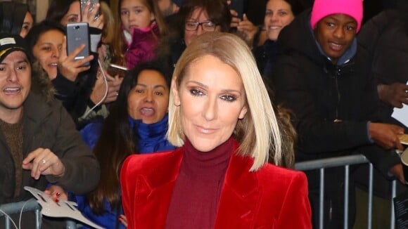 Céline Dion : Look copié sur Gigi Hadid ou gorge dénudée... défilé à New York