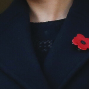 Sophie Rhys-Jones, comtesse de Wessex, Meghan Markle, duchesse de Sussex - La famille royale d'Angleterre lors du National Service of Remembrance à Londres le 10 novembre 2019.