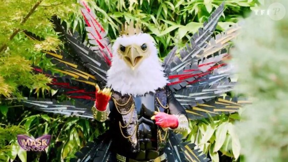 Portrait et performance de l'Aigle, personnage de "Mask Singer", sur TF1.