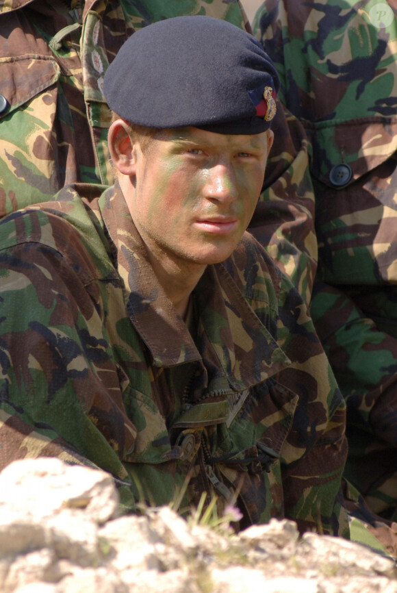 Le prince Harry en janvier 2009