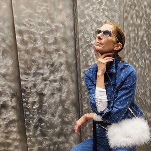 Céline Dion à Houston, sur Instagram, février 2020.