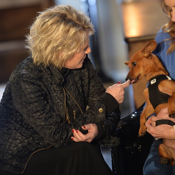 Exclusif - Sophie Davant lors de l'enregistrement de l'émission "Animaux Stars", présentée par B.Montiel, et diffusée le 4 avril sur la chaîne Animaux. Le 14 janvier 2020 © Veeren / Bestimage