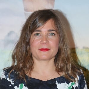 Blanche Gardin - Avant-première du film "Problemos" au cinéma UGC Ciné Cité les Halles à Paris, France, le 9 mai 2017. © CVS/bestimage