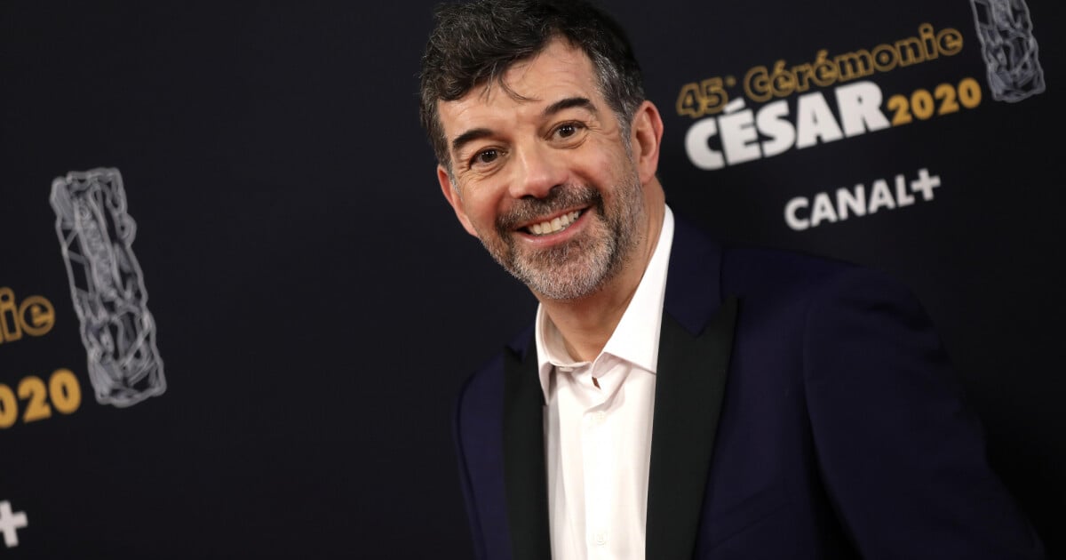 Stéphane Plaza craque et change de look : ressemblance frappante avec un  acteur - Purepeople