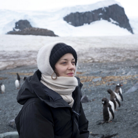 Une photo de Marion Cotillard en Antartique lors d'une voyage organisé par Greenpeace.