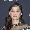 Info du 17/02/2020 (Marion Cotillard est le nouveau visage de l'emblématique N°5 de Chanel) - Marion Cotillard (en Chanel) - Photocall du dîner Chanel des révélations César 2020 au Petit Palais à Paris, le 13 janvier 2020. © Olivier Borde/Bestimage
