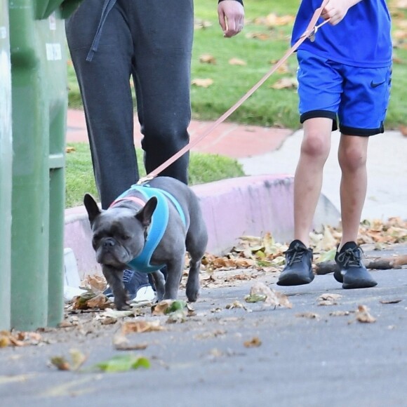 Exclusif - Reese Witherspoon et son fils Tennessee James, tous deux équipés de masques de protection, promènent leurs chiens près de leur maison à Los Angeles, pendant le confinement dû au coronavirus (Covid-19), le 13 avril 2020.