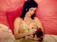 Katy Perry enceinte et en deuil : son joli message pour la mort de Kitty Purry