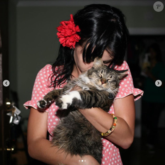 Katy Perry a annoncé la mort de son chat, Kitty Purry, le samedi 18 avril 2020. Photo par The Cobra Snake (Mark Hunter).