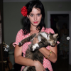 Katy Perry a annoncé la mort de son chat, Kitty Purry, le samedi 18 avril 2020. Photo par The Cobra Snake (Mark Hunter).