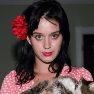 Katy Perry a annoncé la mort de son chat, Kitty Purry, le samedi 18 avril 2020. Photo par The Cobra Snake (Mark Hunter).