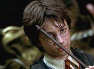 Harry Potter et la Chambre des Secrets : Les enfants du réalisateur dans le film