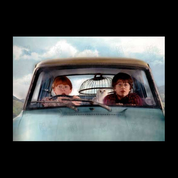 Daniel Radcliffe et Rupert Grint dans le film "Harry potter et la chambre des secrets". 2002.