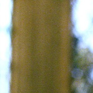 Michael Gambon dans le film "Harry Potter et le prisonnier d'Azkaban". Le 16 avril 2004.
