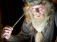 Harry Potter : Pourquoi Albus Dumbledore est-il incarné par différents acteurs ?