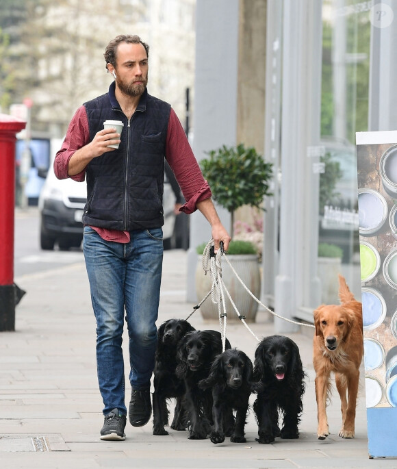 Exclusif -  Le frère de Kate Middleton, James Middleton équipé de ses AirPods et d'un café à emporter se promène avec ses cinq chiens à Chelsea, Londres, le 16 avril 2019.