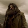 Robbie Coltrane (au centre) dans Harry Potter et le Prince de sang mêlé