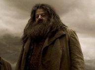 Harry Potter et les Reliques de la mort : Pourquoi Hagrid ne pouvait pas mourir