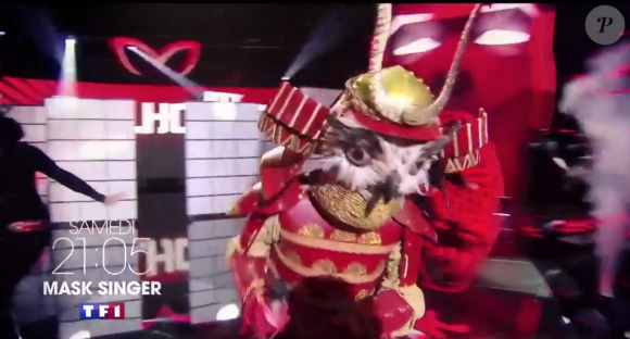 Le Hibou, émission "Mask Singer" du 17 octobre 2020.
