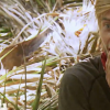 Brice dans "Koh-Lanta, Les 4 Terres" sur TF1.