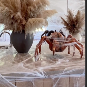 L'Halloween fou et demesuré de la famille Kardashian, 31 octobre 2020.