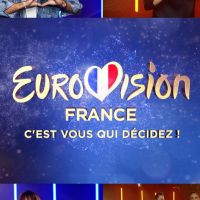Eurovision 2021 : Découvrez les 12 candidats pour représenter la France