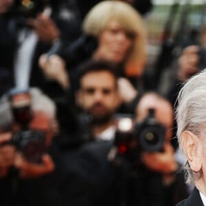 Alain Delon - Montée des marches du film "A Hidden Life" lors du 72ème Festival International du Film de Cannes, le 19 mai 2019. © Denis Guignebourg/Bestimage