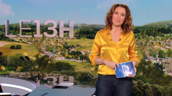 Problèmes techniques au JT de 13H de TF1 : reprise d'antenne avec 30mn de retard et explications