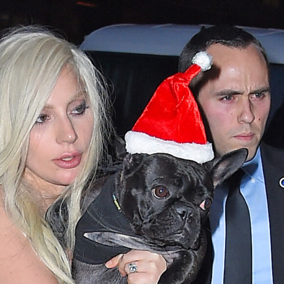 Lady Gaga et son compagnon Taylor Kinney arrivent avec leurs chiens, Miss Asia and Koji déguisés en père Noël à New York le 11 décembre 2015.  Singer and actress Lady Gaga and fiance Taylor Kinney carry their dogs, Miss Asia and Koji, into their apartment in New York City, New York on December 11, 2015. The pair were returning home from being at the Billboard awards. 