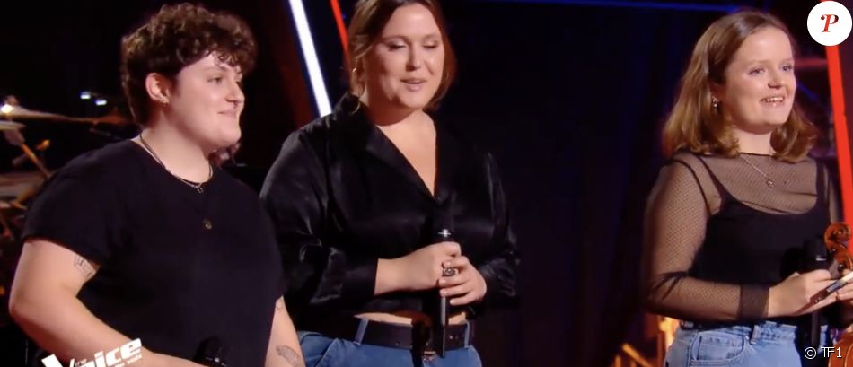 Pottok on the sofa dans "The Voice 2021".