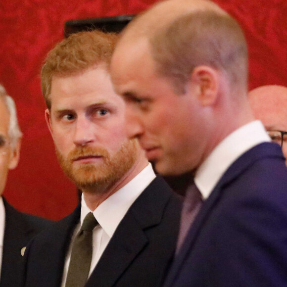 Le prince William, duc de Cambridge, et le prince Harry, duc de Sussex, lors de la conférence "2018 Illegal Wildlife Trade" au palais St James à Londres.