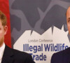 Le prince William, duc de Cambridge, et le prince Harry, duc de Sussex, participent en compagnie de Lord William Hague, à une conférence organisée par la "United for Wildlife Financial Task Force" à la Mansion House à Londres, le 10 octobre 2018. 