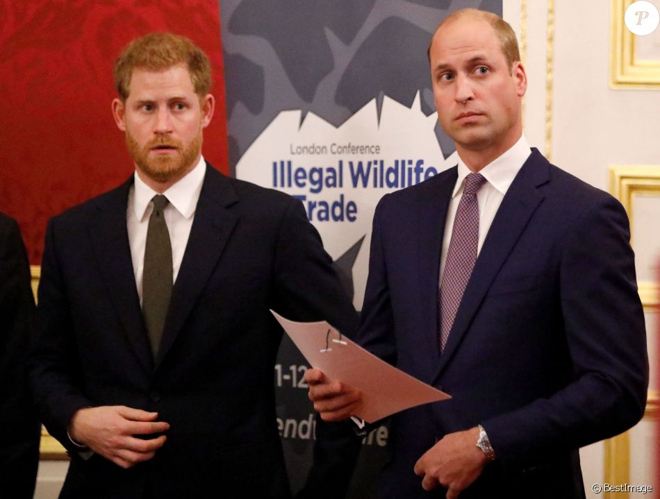 Le prince William, duc de Cambridge, et le prince Harry, duc de Sussex, participent en compagnie de Lord William Hague, à une conférence organisée par la "United for Wildlife Financial Task Force" à la Mansion House à Londres, le 10 octobre 2018.